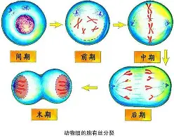 九游体育下载包含这也行？浓眉哥连续三场比赛得分超过刷新纪录今晚俄克拉荷马雷霆调整名单以备葡超，C罗连续五场比赛得分超过爆冷的词条